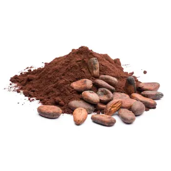 Organic Dry Fruit Powder